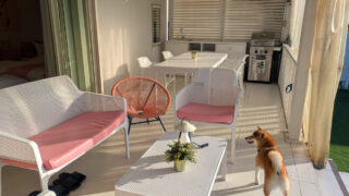 Thumbnail of post image 191