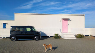 Thumbnail of post image 075