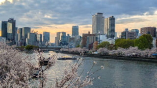 Thumbnail of post image 144