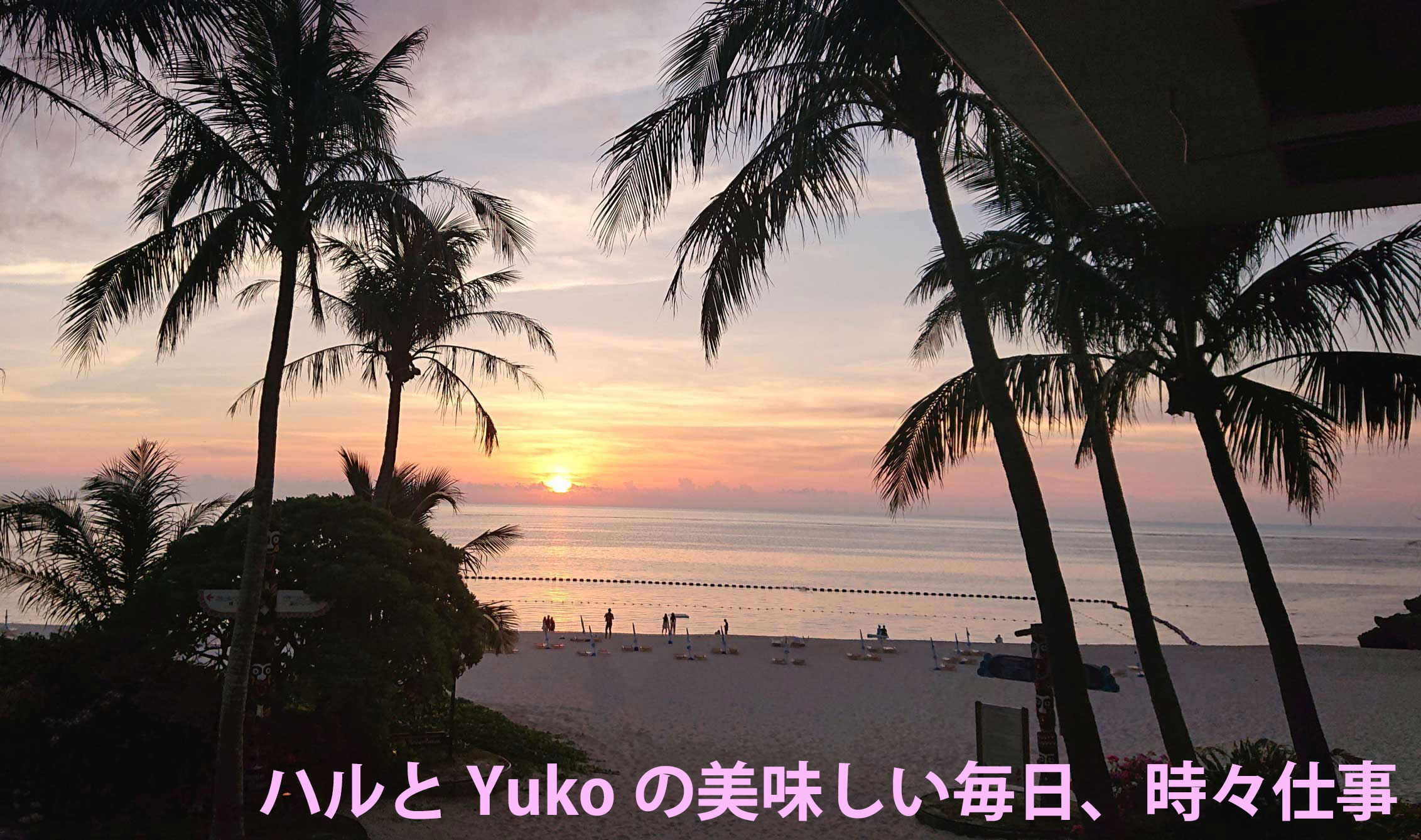 ハルとYukoの美味しい毎日、時々仕事。